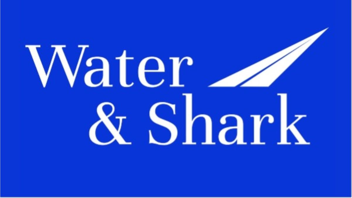 From Times Square to Global Boardrooms: Water and Shark Sets the Standard in Auditing and Consulting